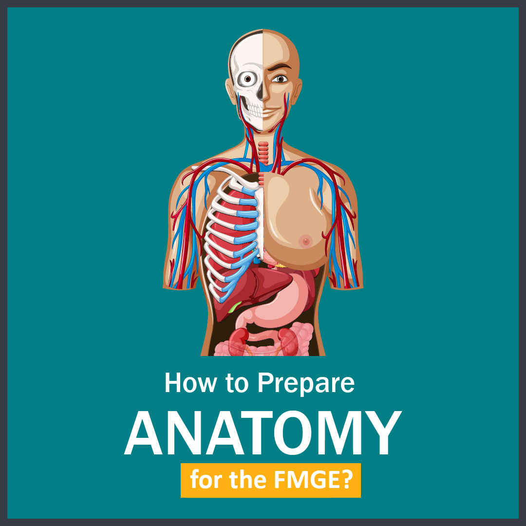 How to Prepare Anatomy for the FMGE 01 1 LMR for FMGE 2021: Psychiatry