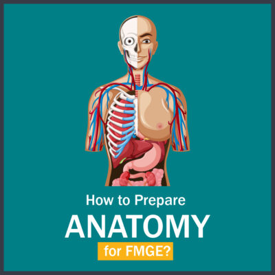 How to Prepare Anatomy for FMGE?