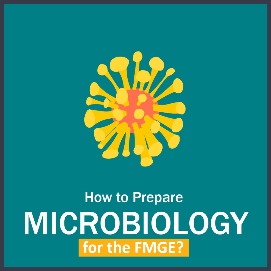 How to Prepare microbiology in FMGE LMR for FMGE 2021: Microbiology